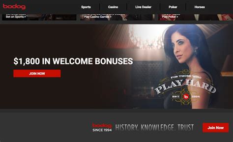 Bodog player contests high withdrawal